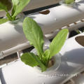 PVC Pipe indoor vertical hydroponic for greenhouse